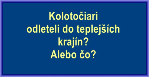 Kam?